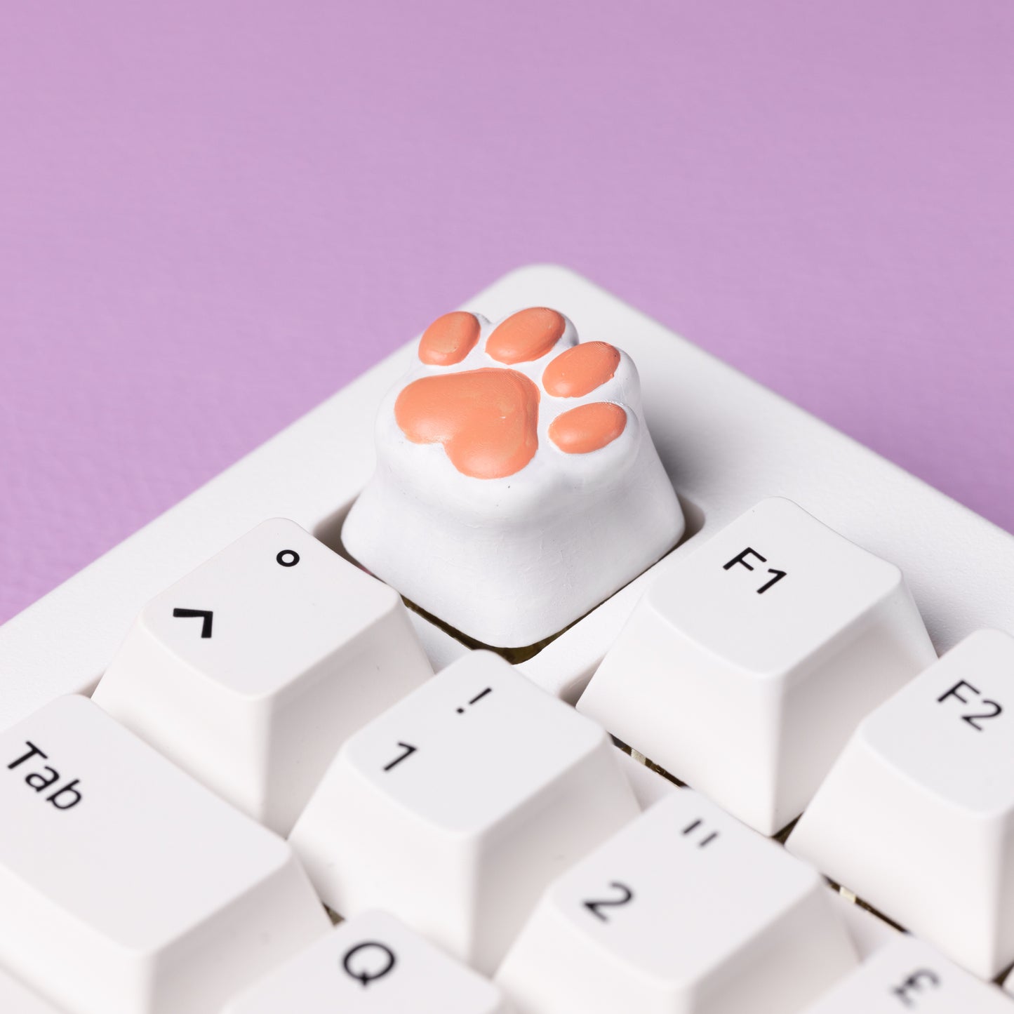 KITTY PAW ✦ ARTISAN KEYCAP